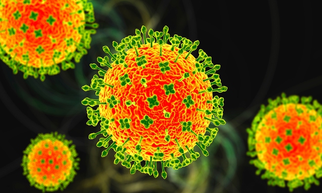 Phòng chống dịch bệnh do Vi rút Nipah