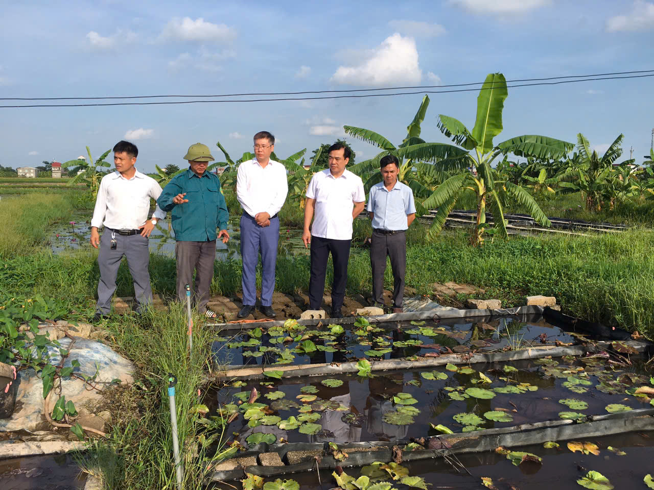 Đồng chí Nguyễn Minh Hồng, Ủy viên BCH Đảng bộ tỉnh, Chủ tịch Hội nông dân tỉnh; đồng chí Nguyễn Quang Huy, Phó Bí thư Thường trực đảng ủy đã đi thăm một số mô hình phát triển kinh tế tiêu biểu của nông dân xã Tiên La